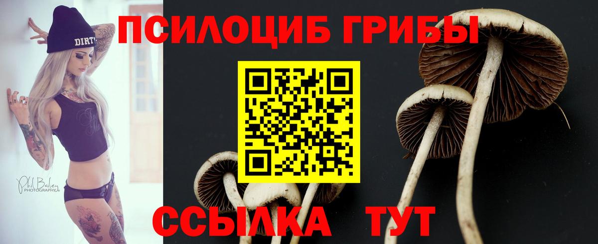 Галлюциногенные грибы ЛСД  Псилоцибиновые грибы Magic Shrooms  Вход с VPN  Армавир 